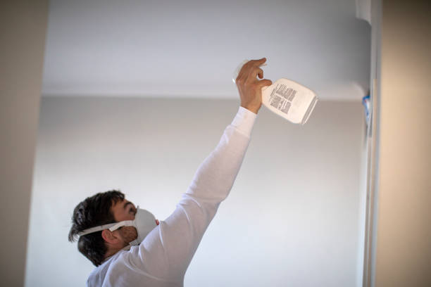 Best Emergency Mold Remediation in Brushy, OK