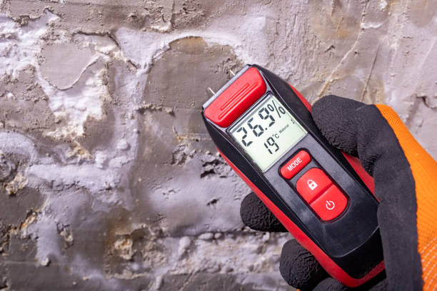 Best Mold Remediation for Schools in Brushy, OK