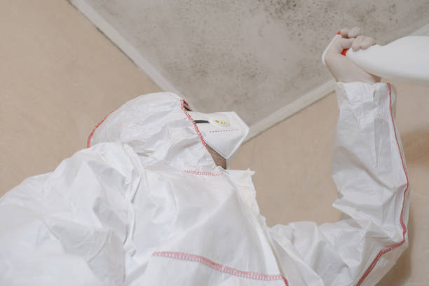 Best Localized Mold Remediation (e.g., coastal areas, humid climates) in Brushy, OK