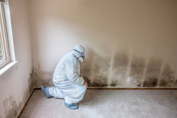 Best Bathroom Mold Remediation in Brushy, OK