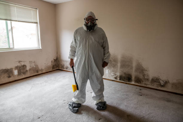 Best Post-Remediation Services in Brushy, OK